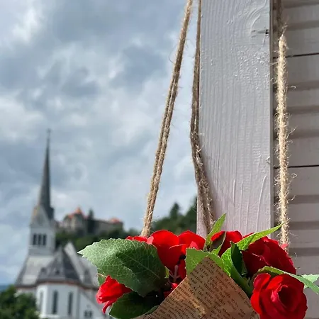 Romance Διαμέρισμα *